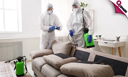 Pest Control Treatment Service!